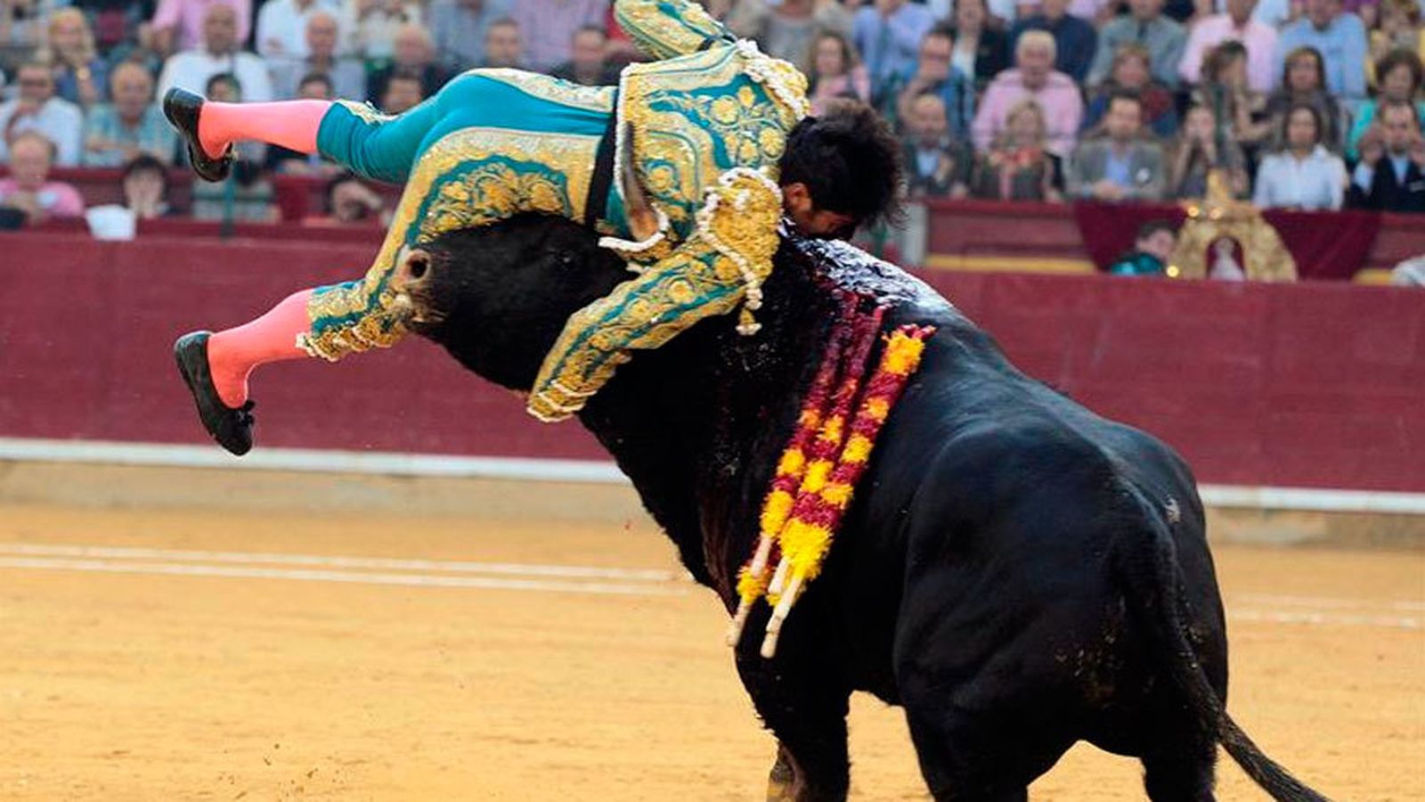 Cayetano Rivera corneado en Zaragoza