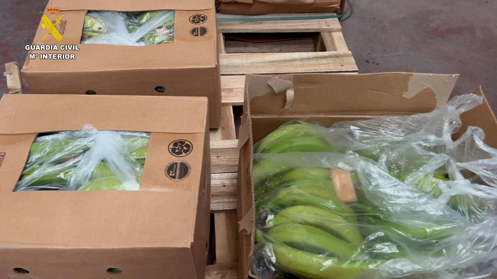 Tráfico ilegal de cocaína en contenedores de bananas