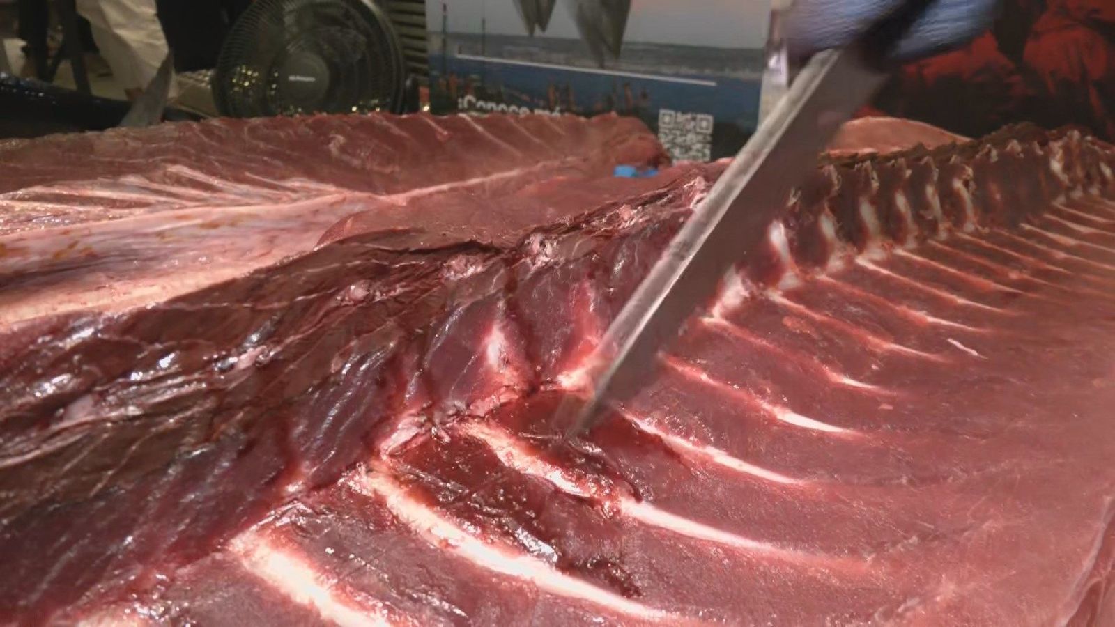 El atún rojo de Almadraba desembarca en el Mercado de San Miguel