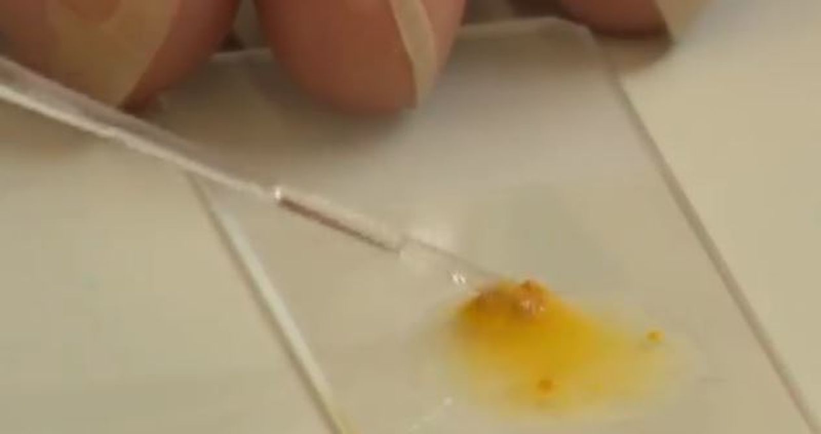 Análisis de la  carne de La Mechá