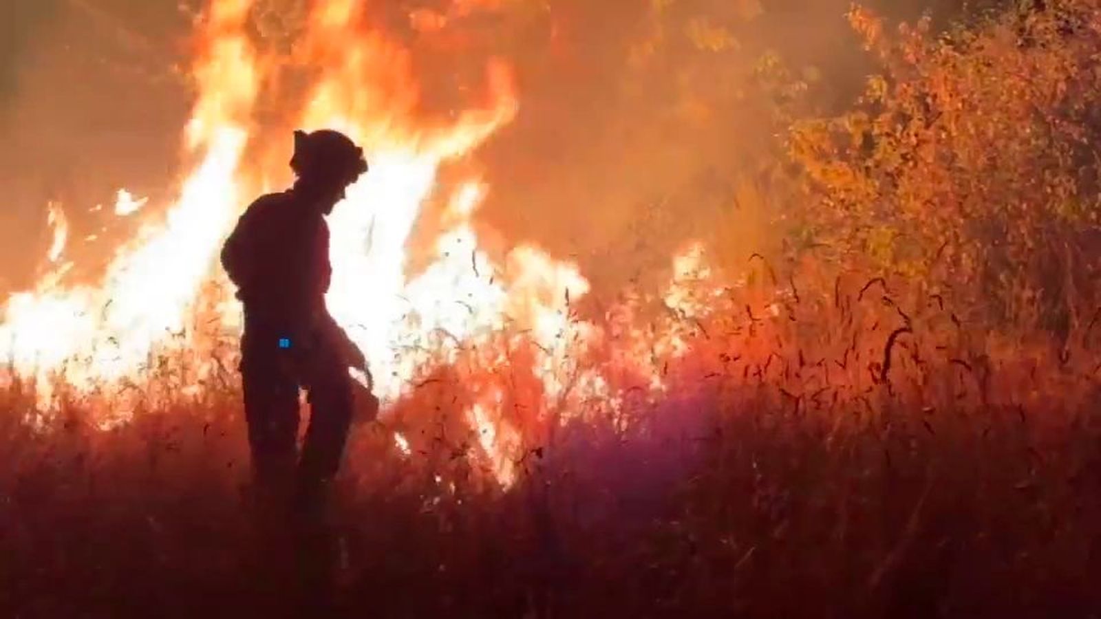 El fuego devora Castilla y León: 27 fuegos activos, 10 de riesgo extremo