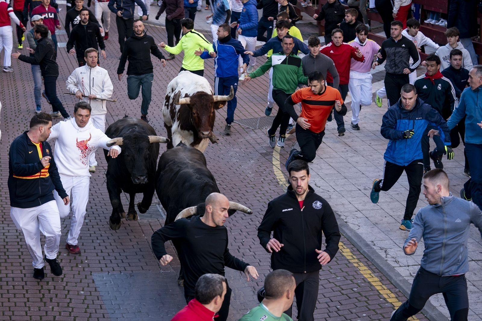 Los encierros blancos regresan estefin de semana a San Sebastián de los Reyes con motivo de las fiestas  de  su patrón