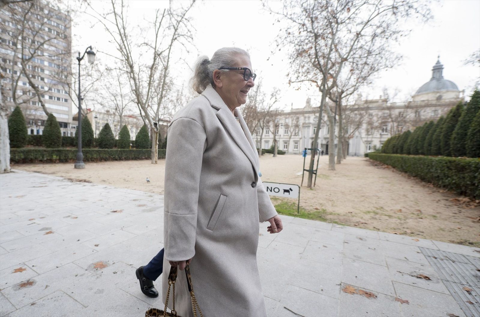El chófer de Carmen Pano declara que la acompañó a Ferraz con dinero en 'fajos': "Salió de la sede sin bolsas"