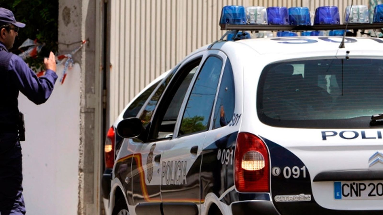 La Policía desmantela una red dedicada a  peleas de perros y salva a 230 animales