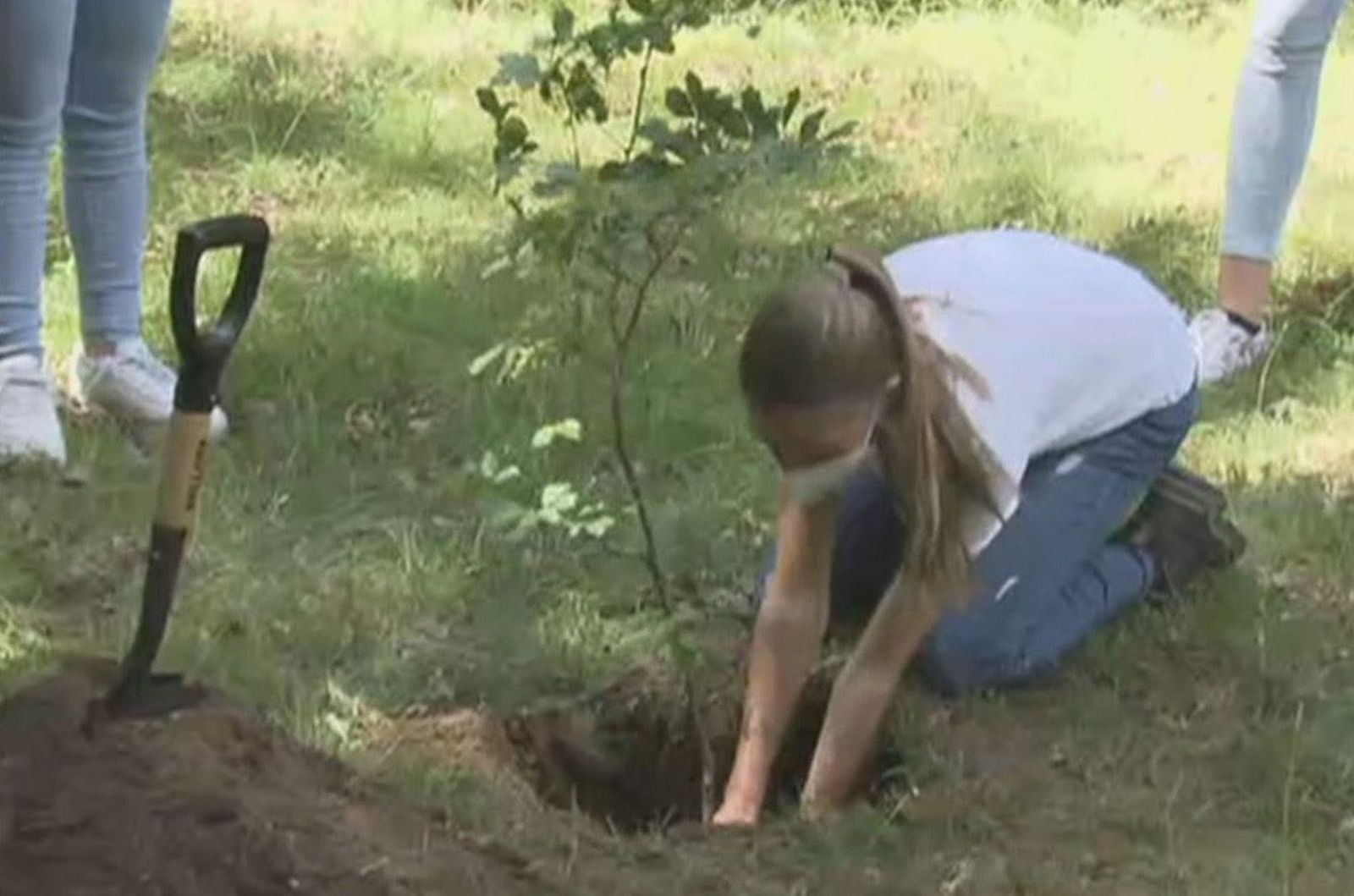 Primer acto público de Leonor y Sofía sin los Reyes para plantar árboles en el Hayedo de Montejo