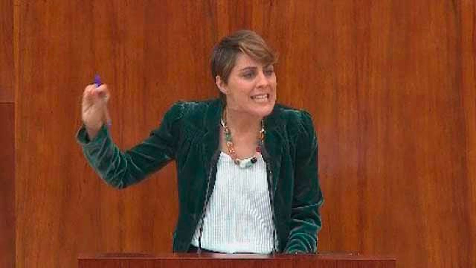 Ruiz-Huerta pide que Cifuentes dimita porque "no presentó ni hizo el máster"