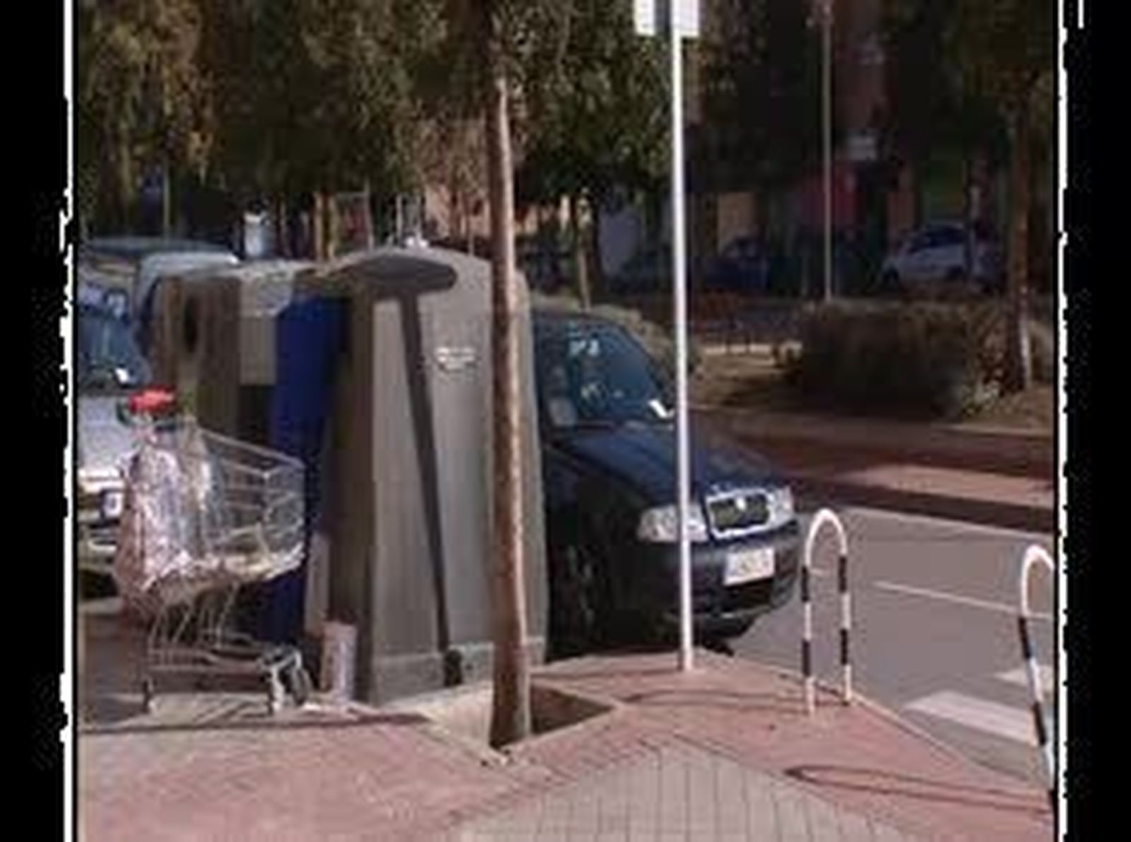 Rebuscando en la basura para sobrevivir