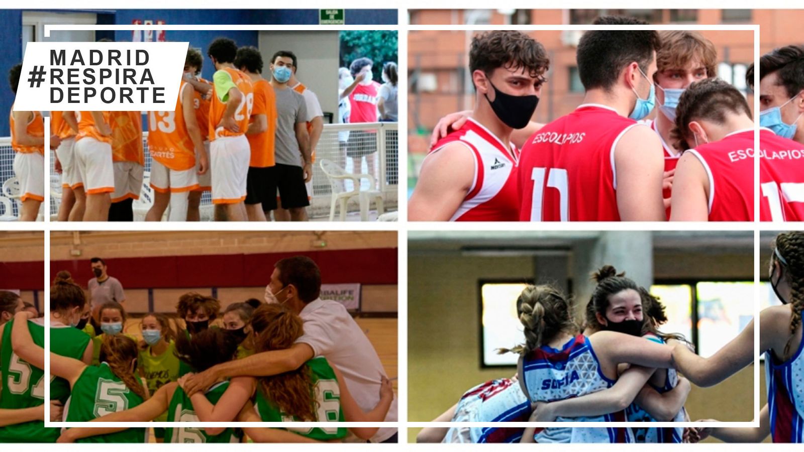 Finalistas de la Copa Colegial
