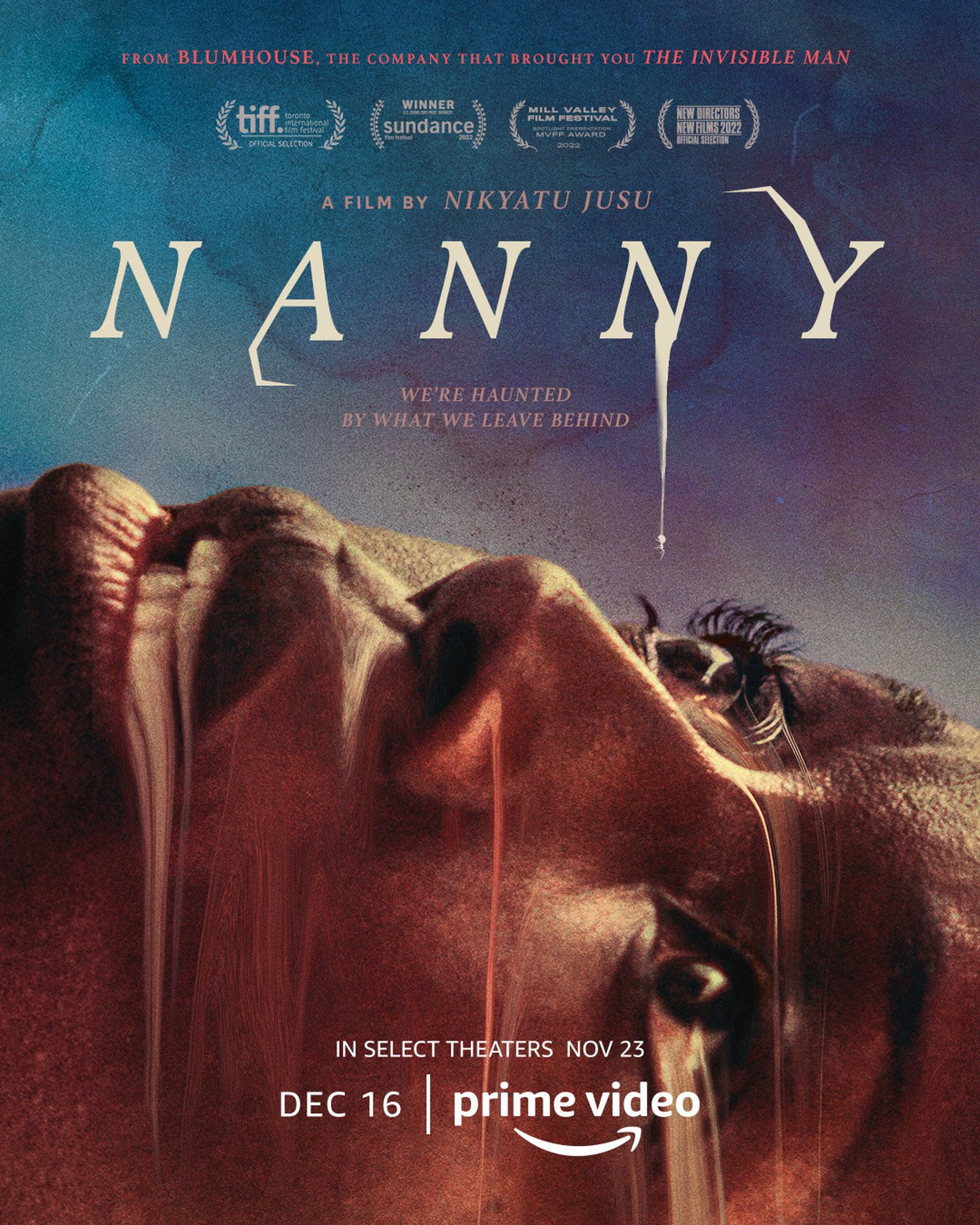 Cartel de la película