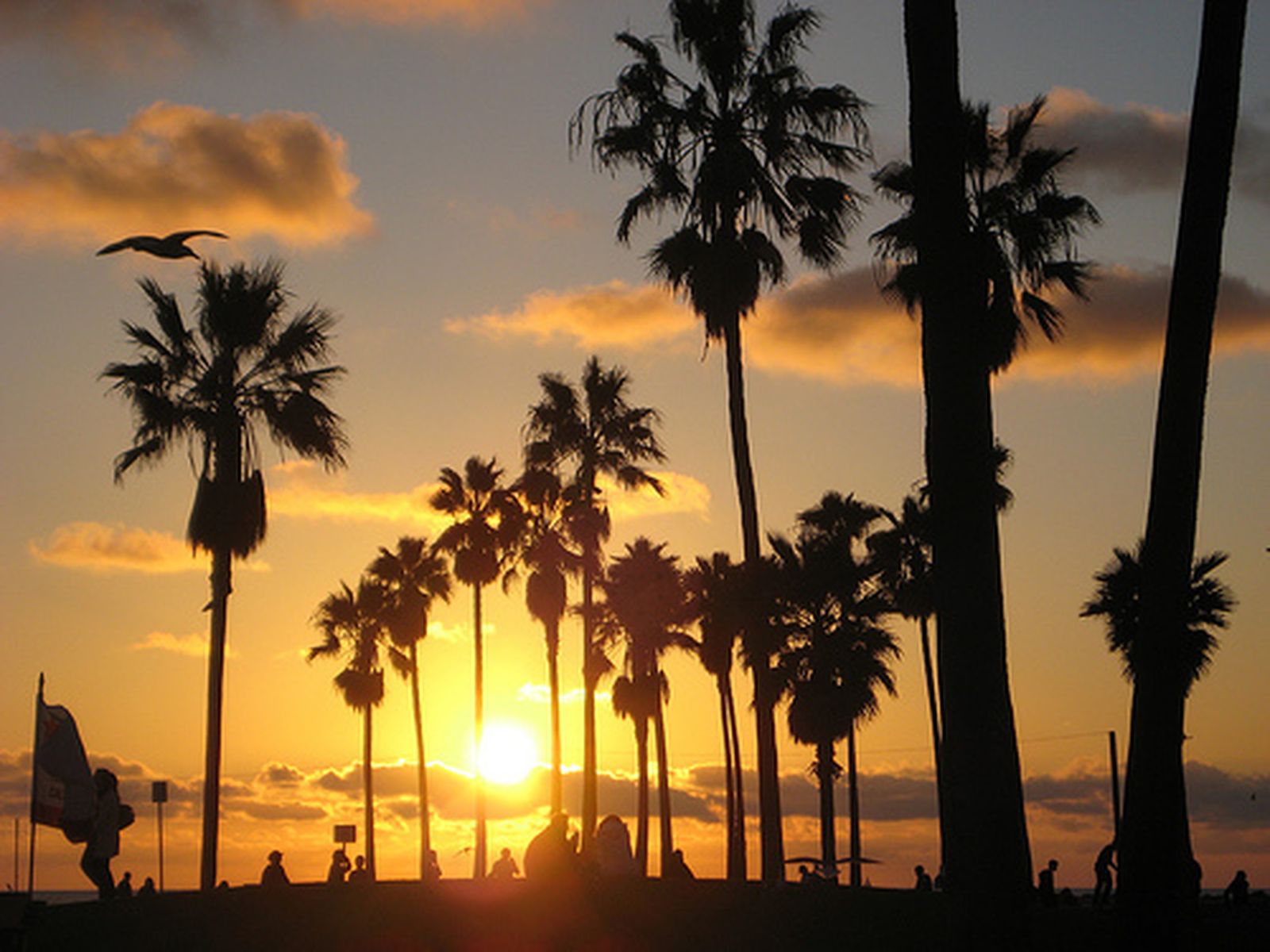Las doradas playas de un atardecer en California