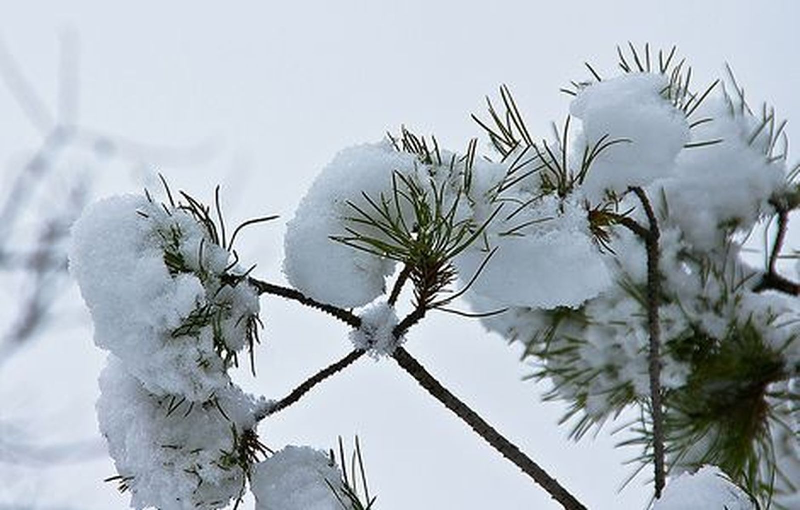 Hasta 8 grados bajo cero en la sierra