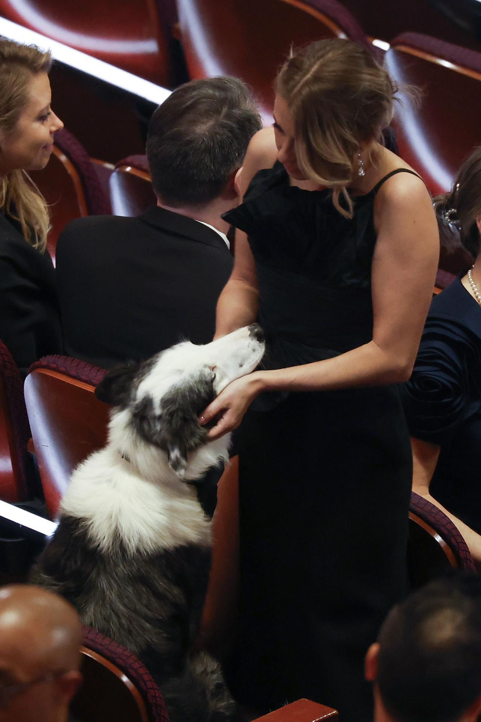 'Messi', el perro de 'Anatomía de una caída', en los Oscar
