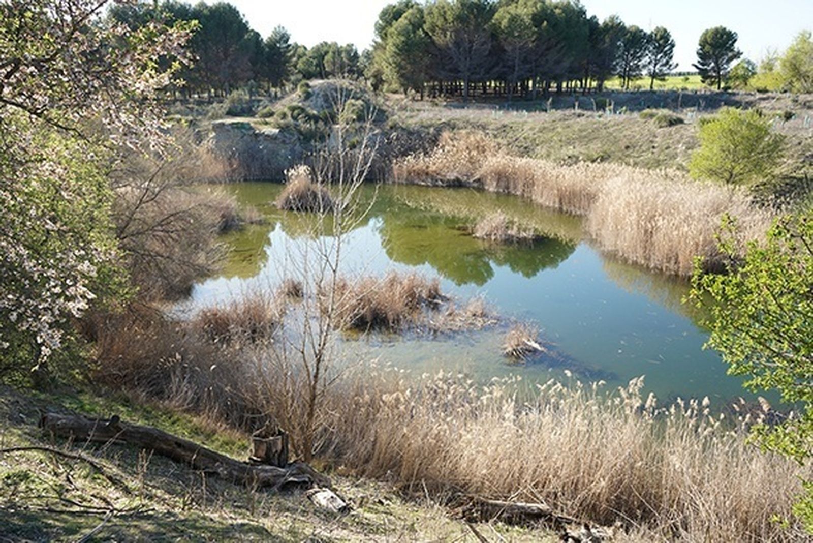 Lagunas de Horna en Getafe
