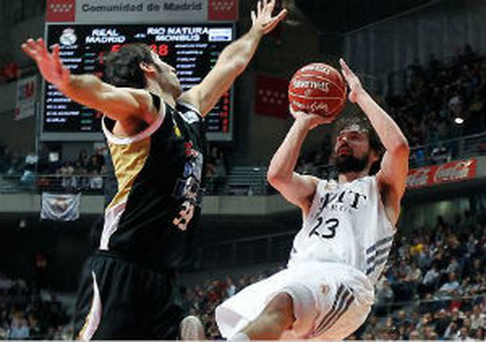 Sergio Llull