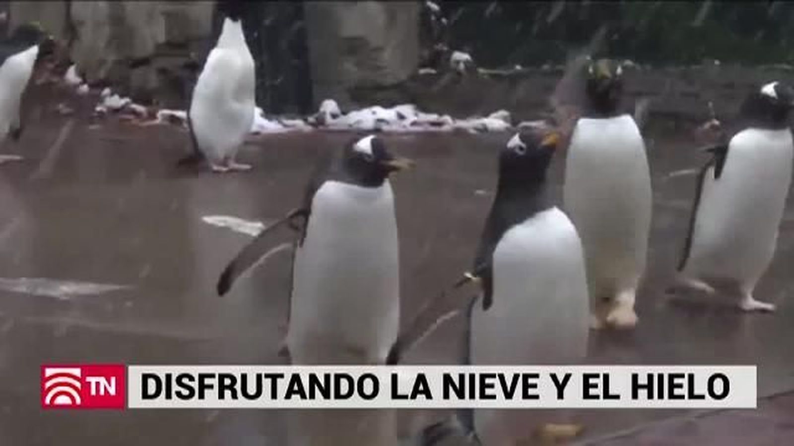 El Tiempo 10.03.2019