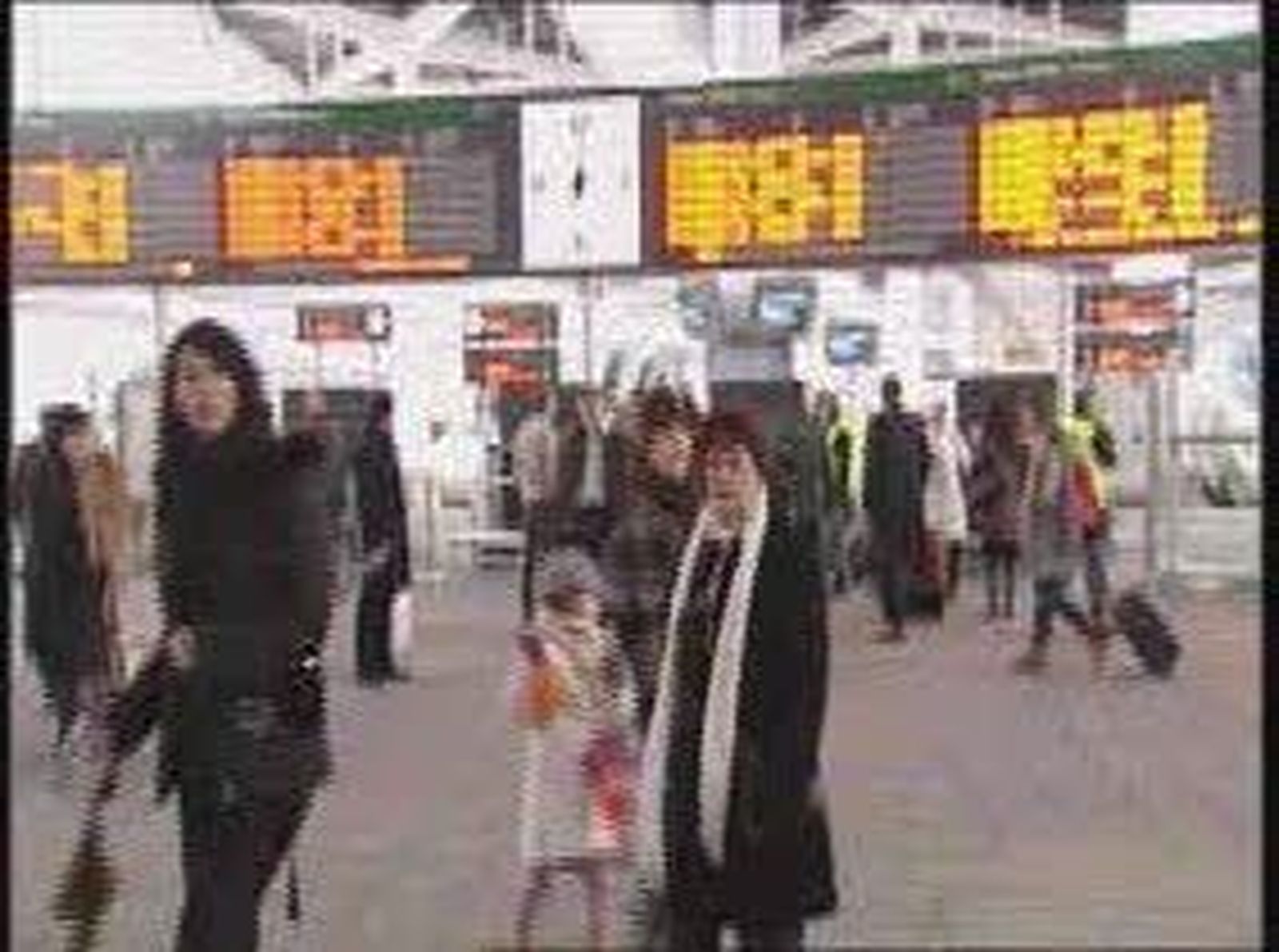 cronicaave_20101219V0.wmv