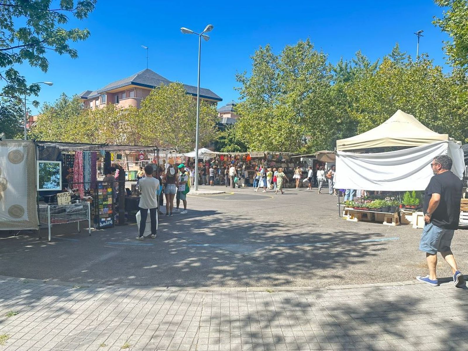 Mercadillo de Majadahonda