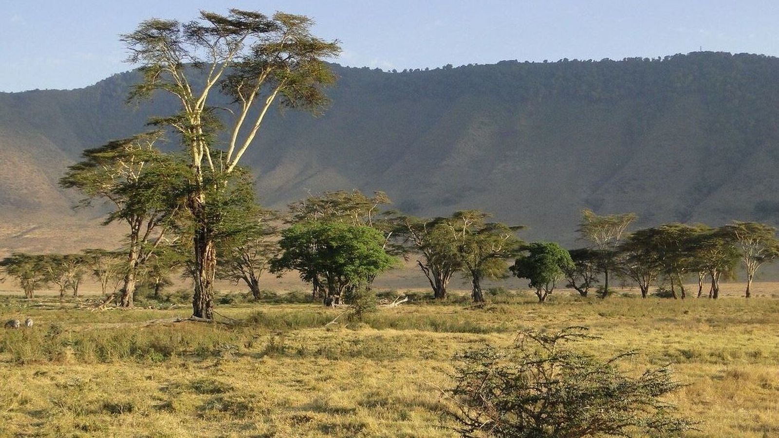 Dos turistas españolas mueren en Tanzania en un accidente de coche cerca del cráter de Ngorongoro
