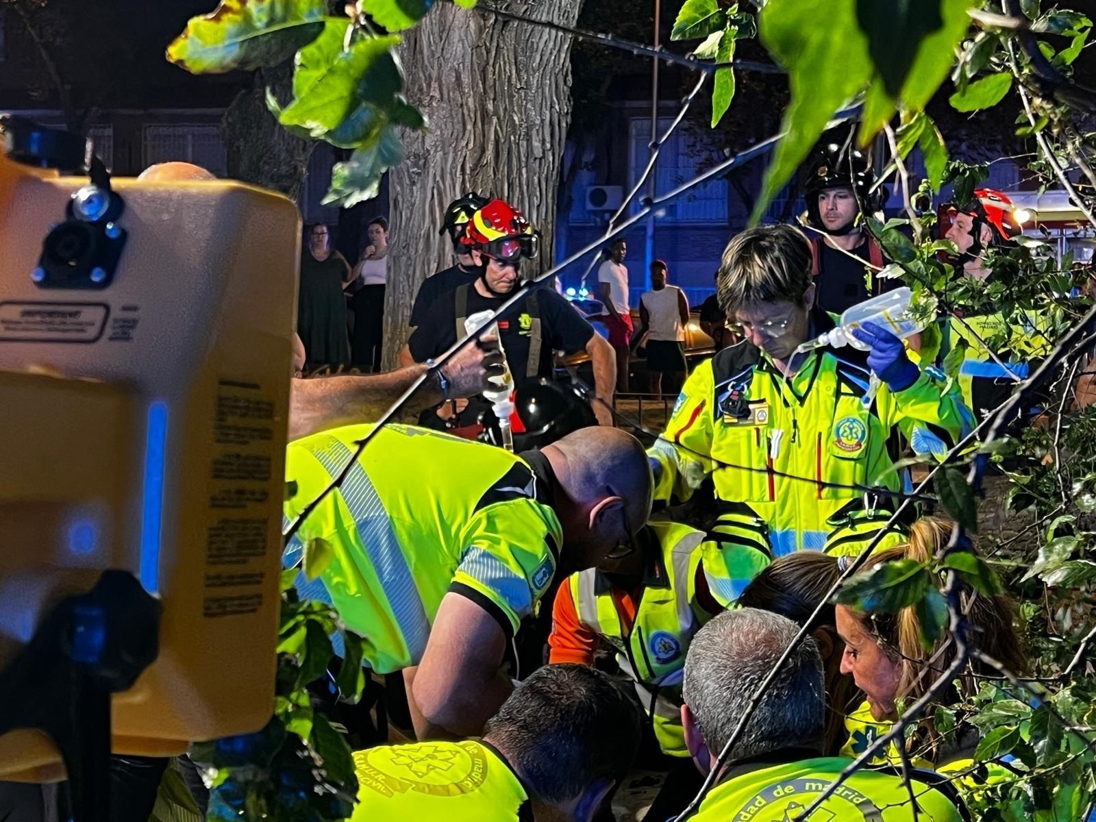 El suceso de Carabanchel recupera la alerta en Madrid por los efectos del calor en el arbolado