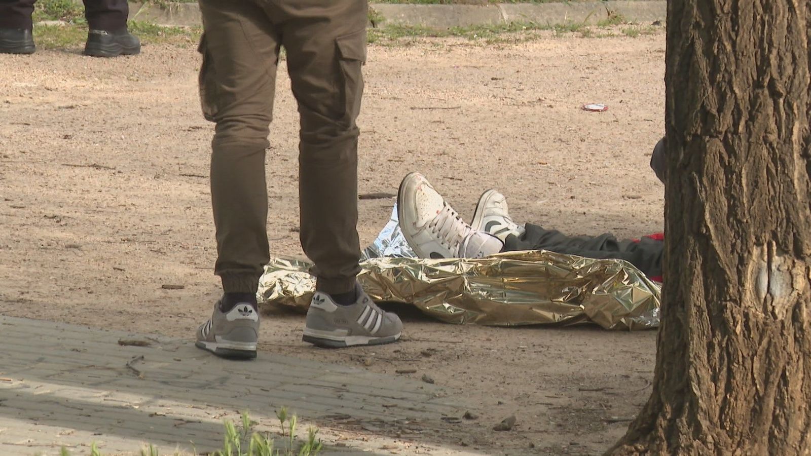 Prisión provisional para el presunto asesino del joven asesinado en el parque Paraíso de San Blas