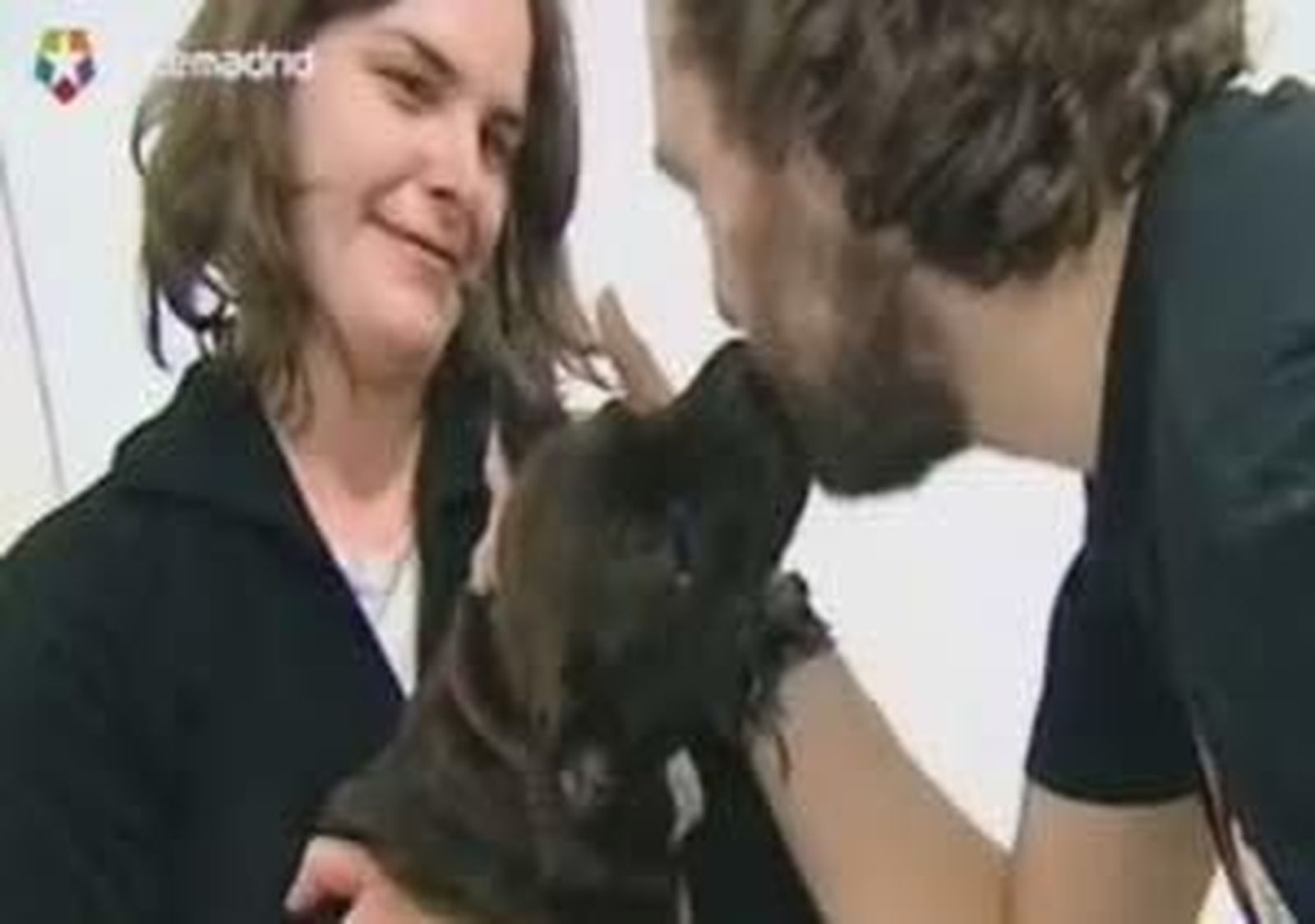 Psiquiatra para perros