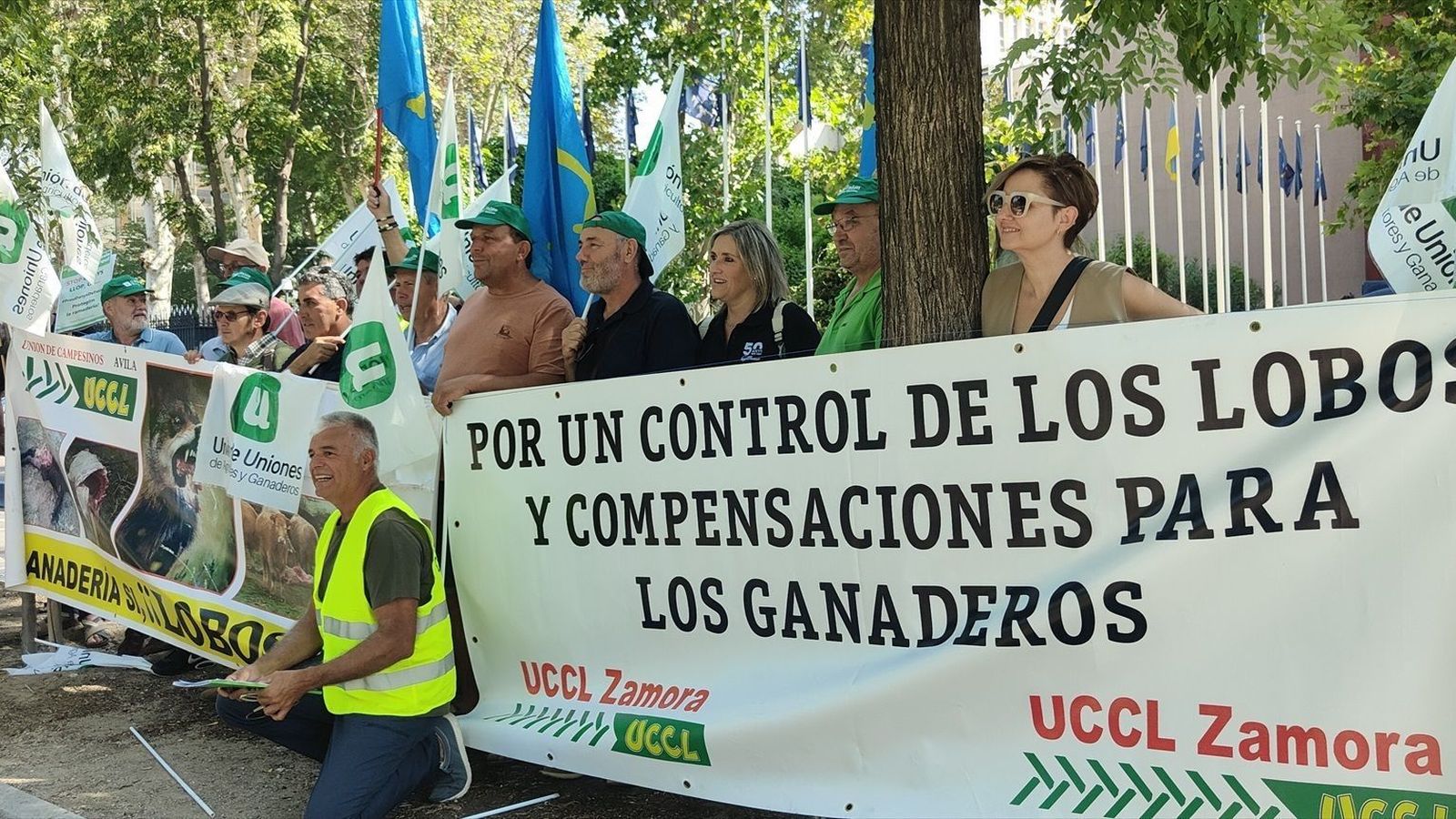 Los ganaderos piden en Madrid rebajar la protección del lobo
