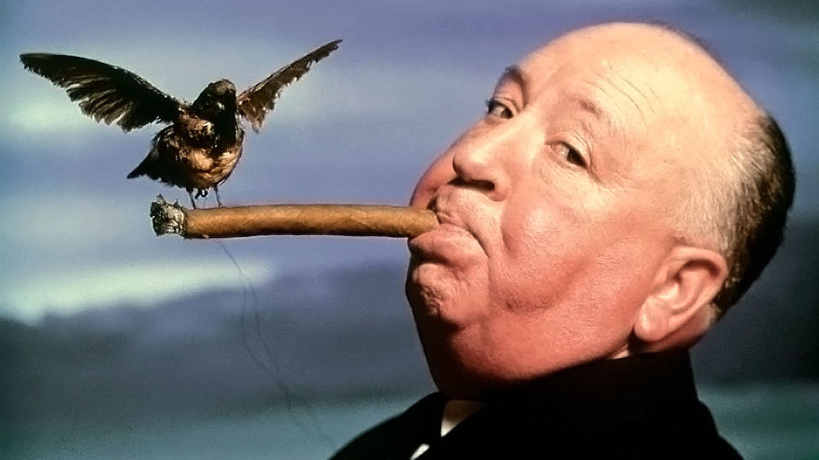 Philippe Halsman, Retrato de Alfred Hitchcock para la promoción de la película The Birds, 1962