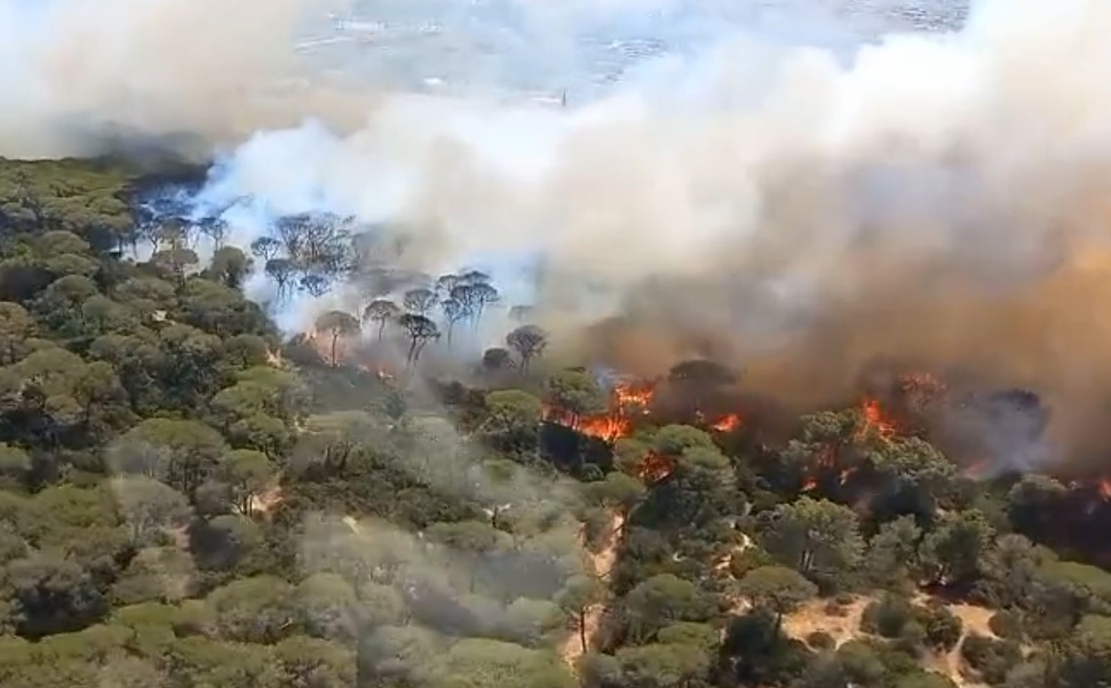 Incendio en Cadiz