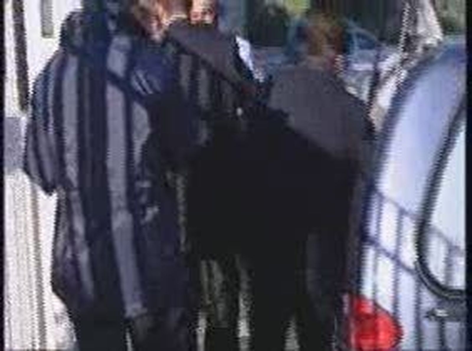 Bebe_20101022V0.wmv