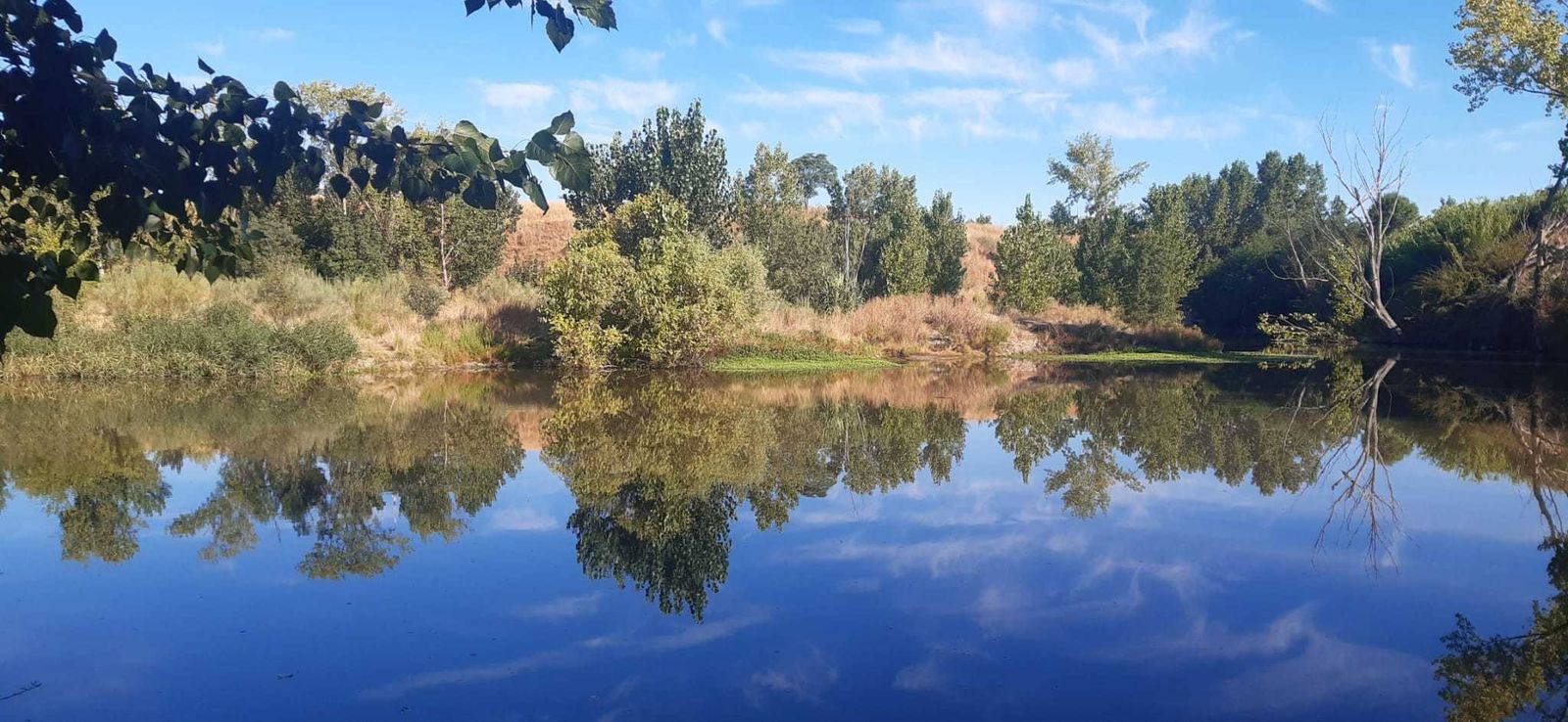 Laguna de Valchico, humedal que forma parte del Corredor Ecológico del Suroeste