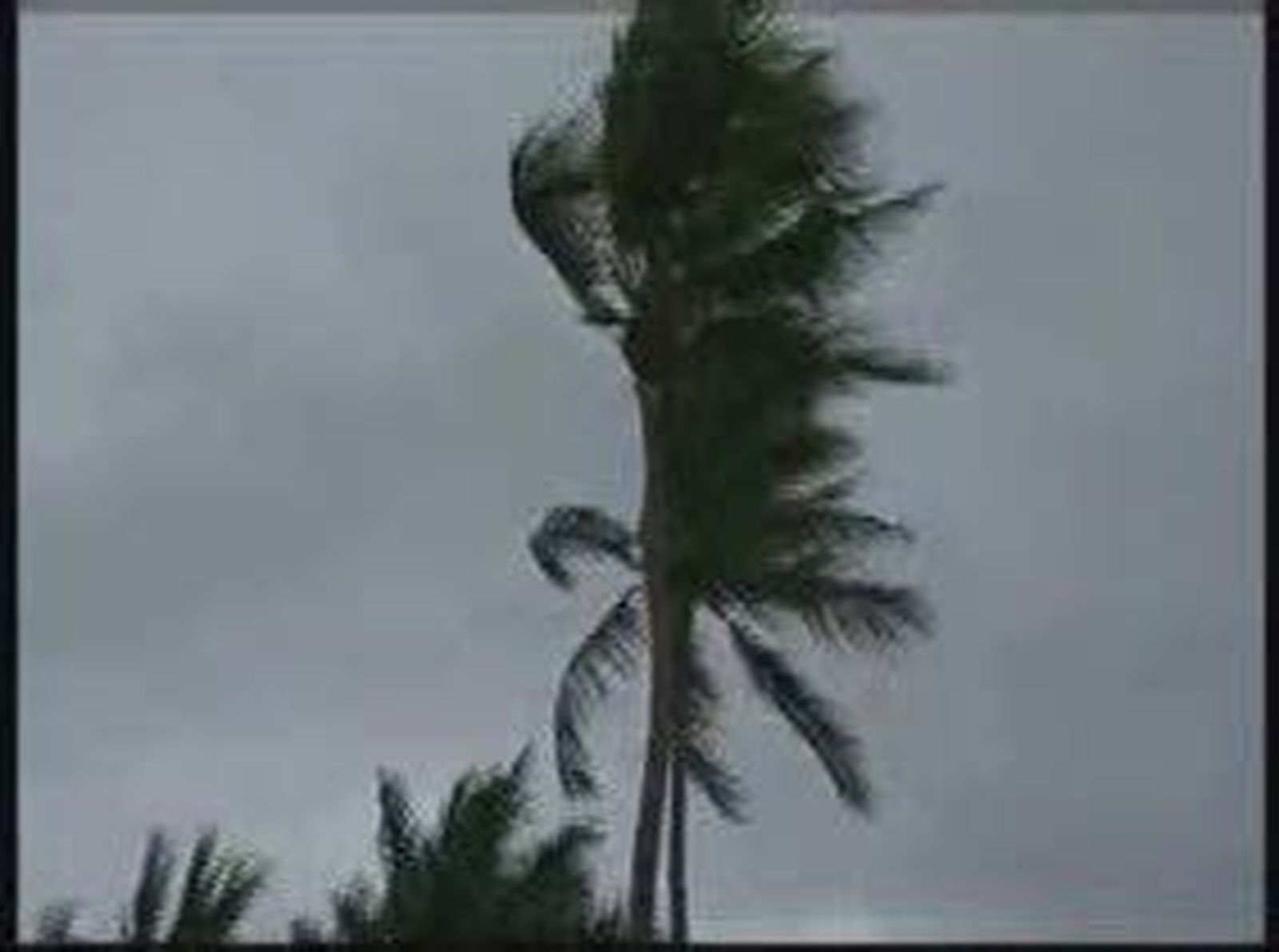 Dos estados mexicanos en "alerta roja" por la cercanía del huracán "Beatriz"
