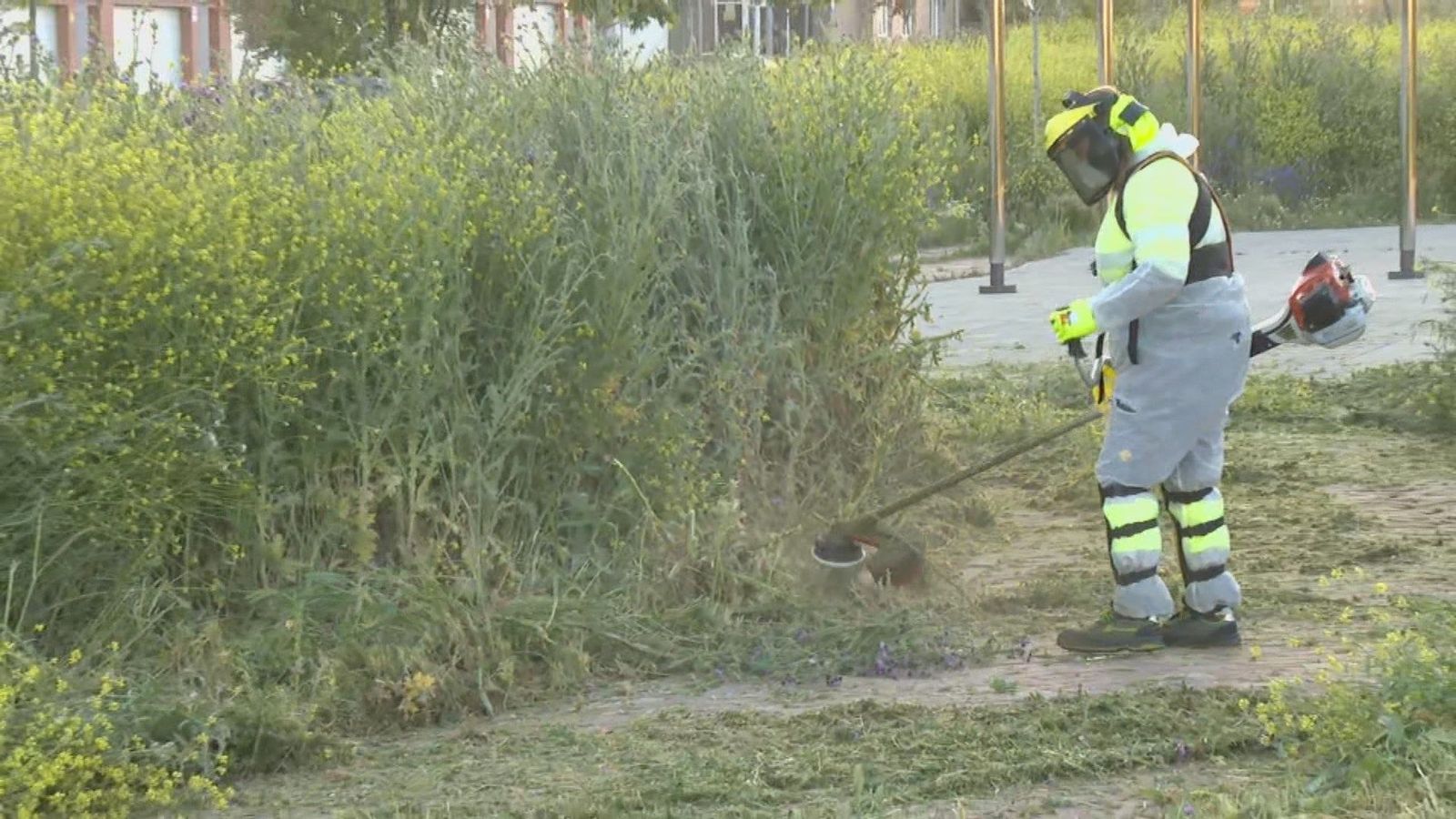 Alcorcón adelanta la campaña de desbroce con el objetivo de prevenir incendios