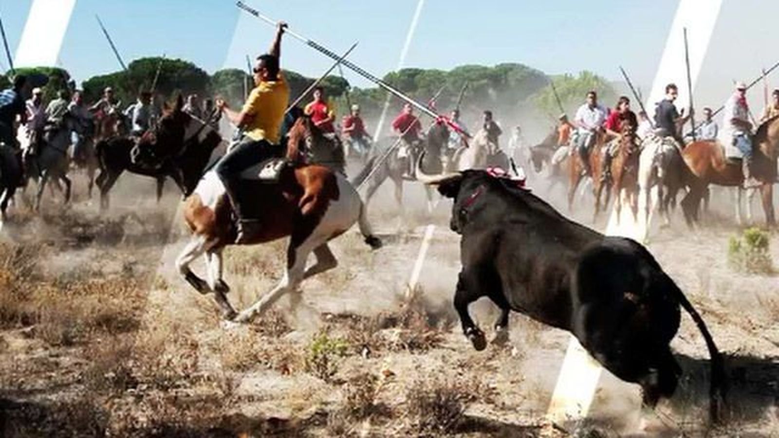 Tensión en Tordesillas en el festejo del Toro de La Vega