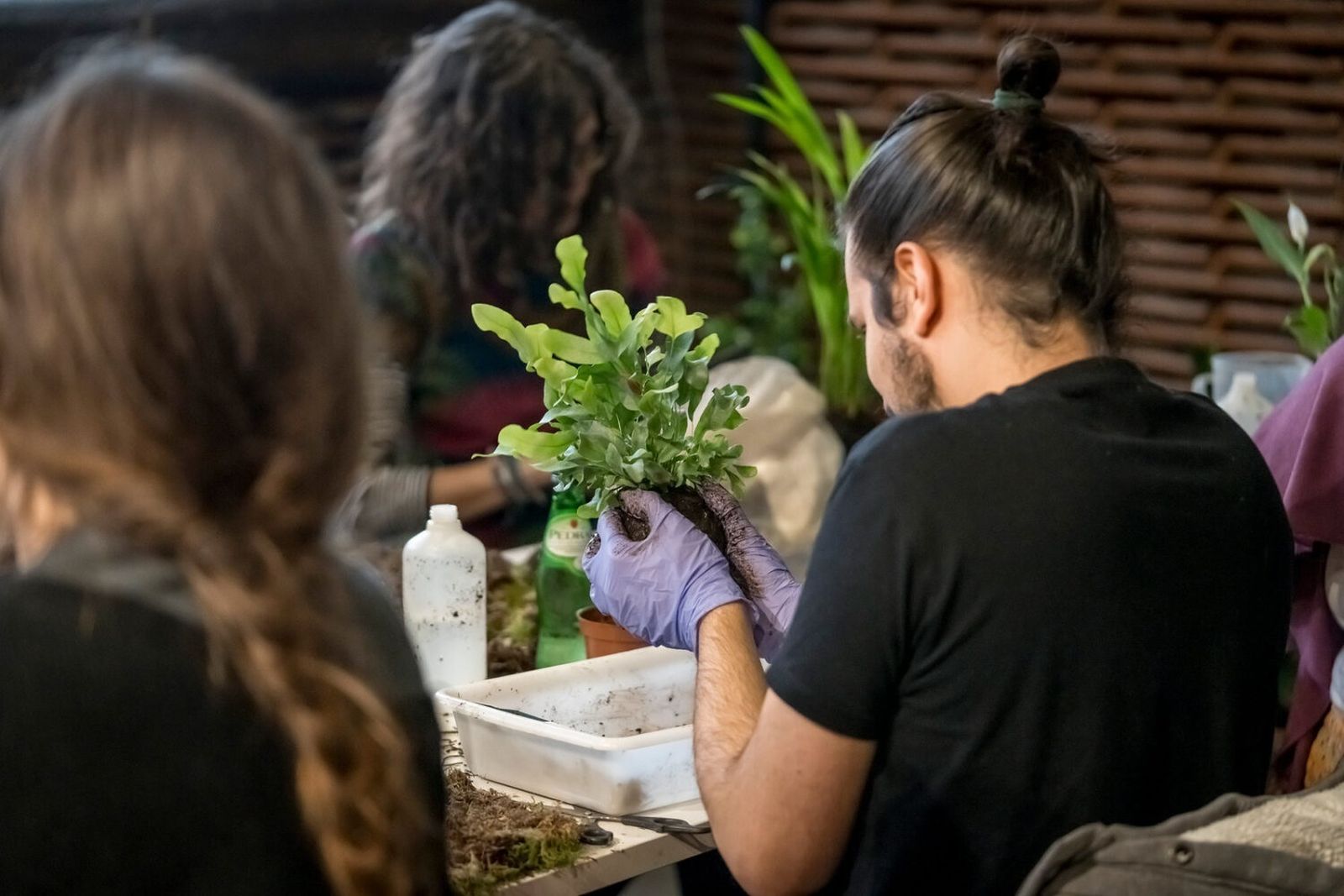 Matadero Madrid volverá a celebrar Biophest, el festival que conecta con la vida vegetal