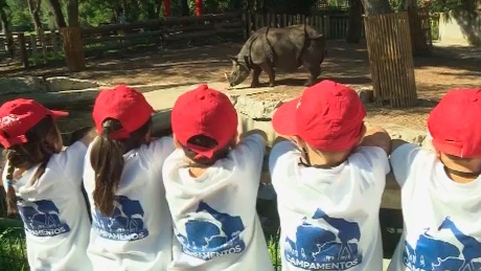 El Zoo reparte a los animales polos artesanales rellenos de frutas