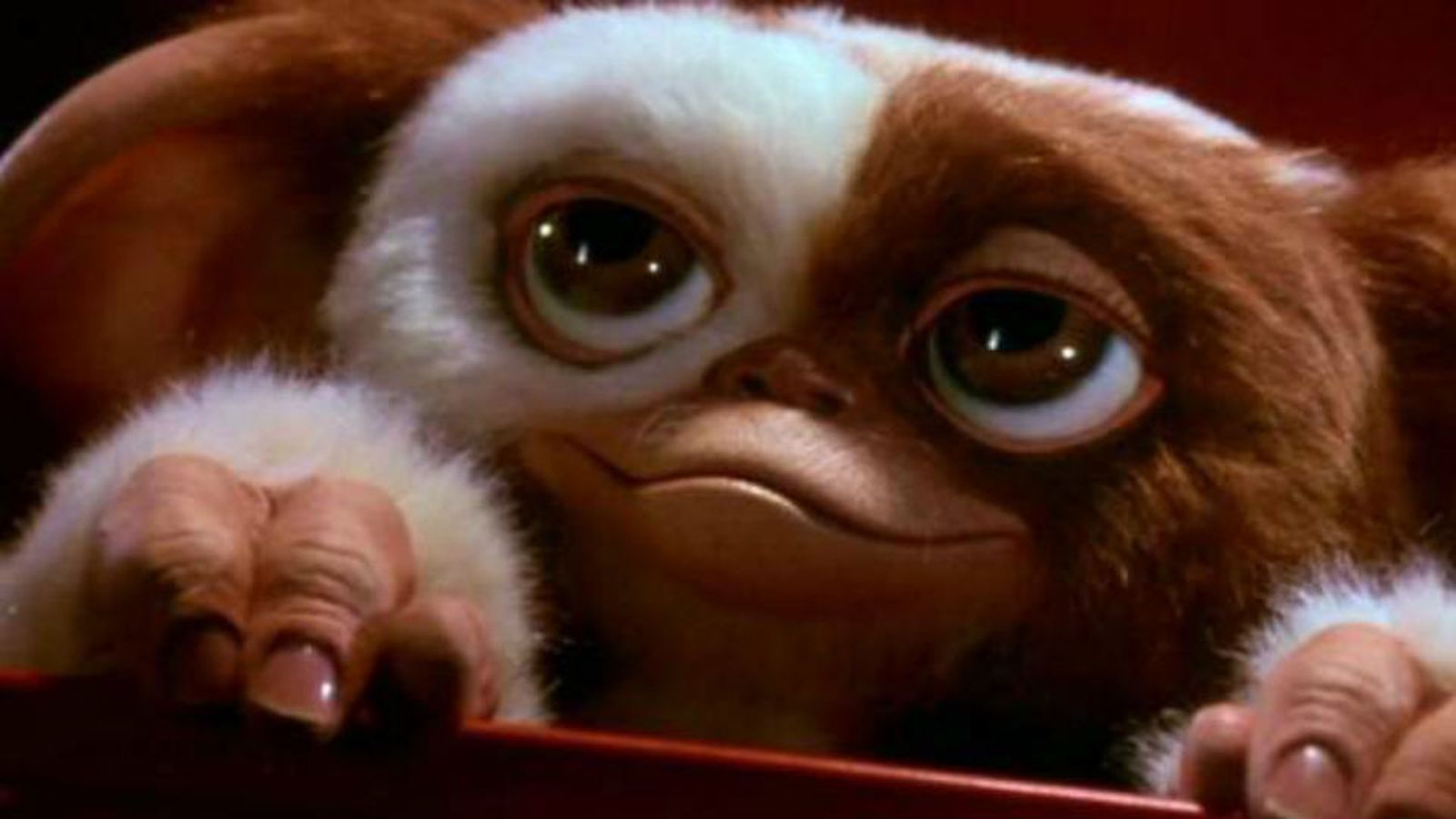 Tarde para la Ira' o 'Gremlins', proyecciones  en el Festival Cine de Verano
