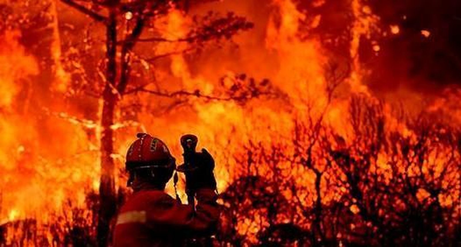 Incendio forestal