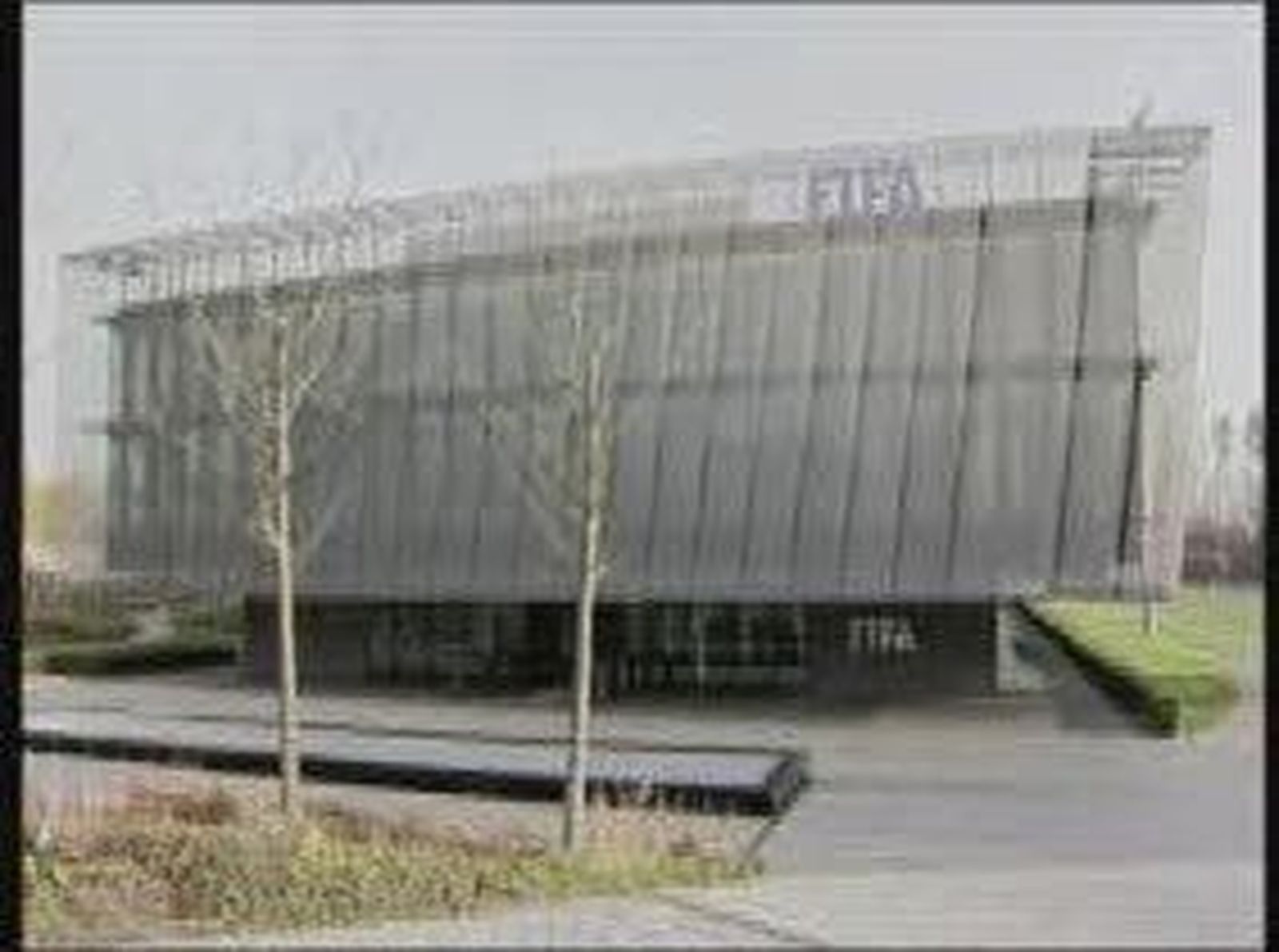 FIFA_20101118V0.wmv
