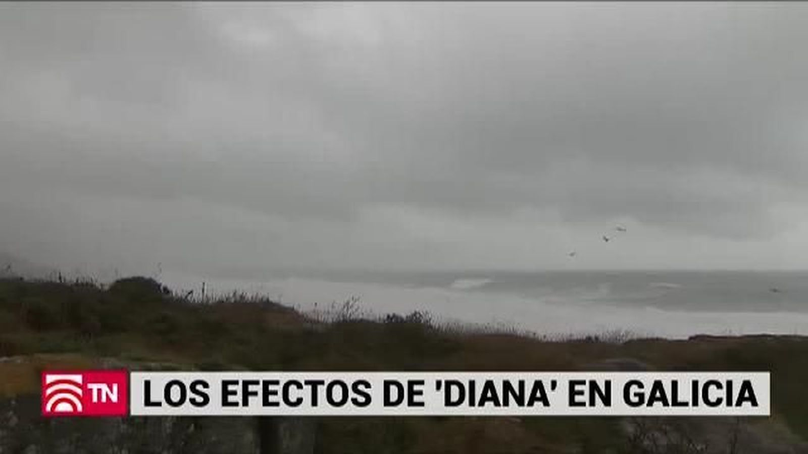 El Tiempo 29.11.2018