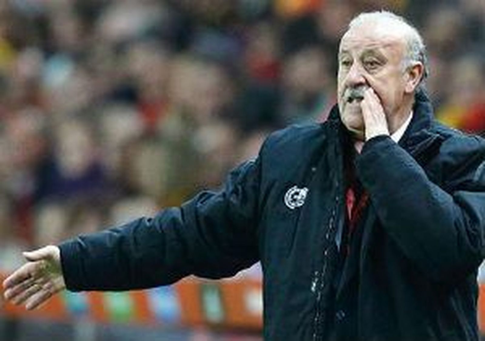 Del Bosque: "Hemos merecido la derrota"