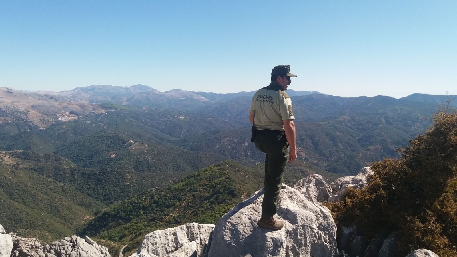 Agente forestal