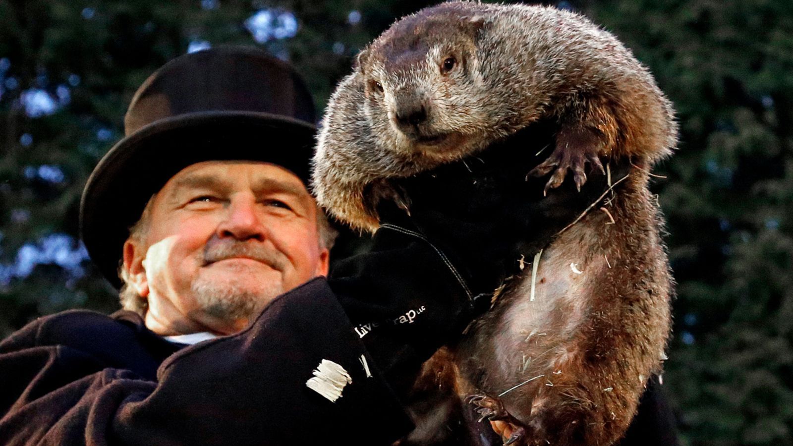 La marmota Phil ha hablado, el invierno se queda
