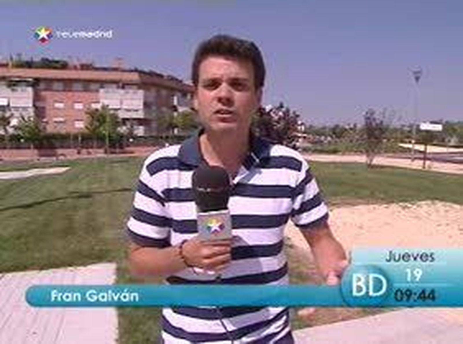 Picaduras de abeja