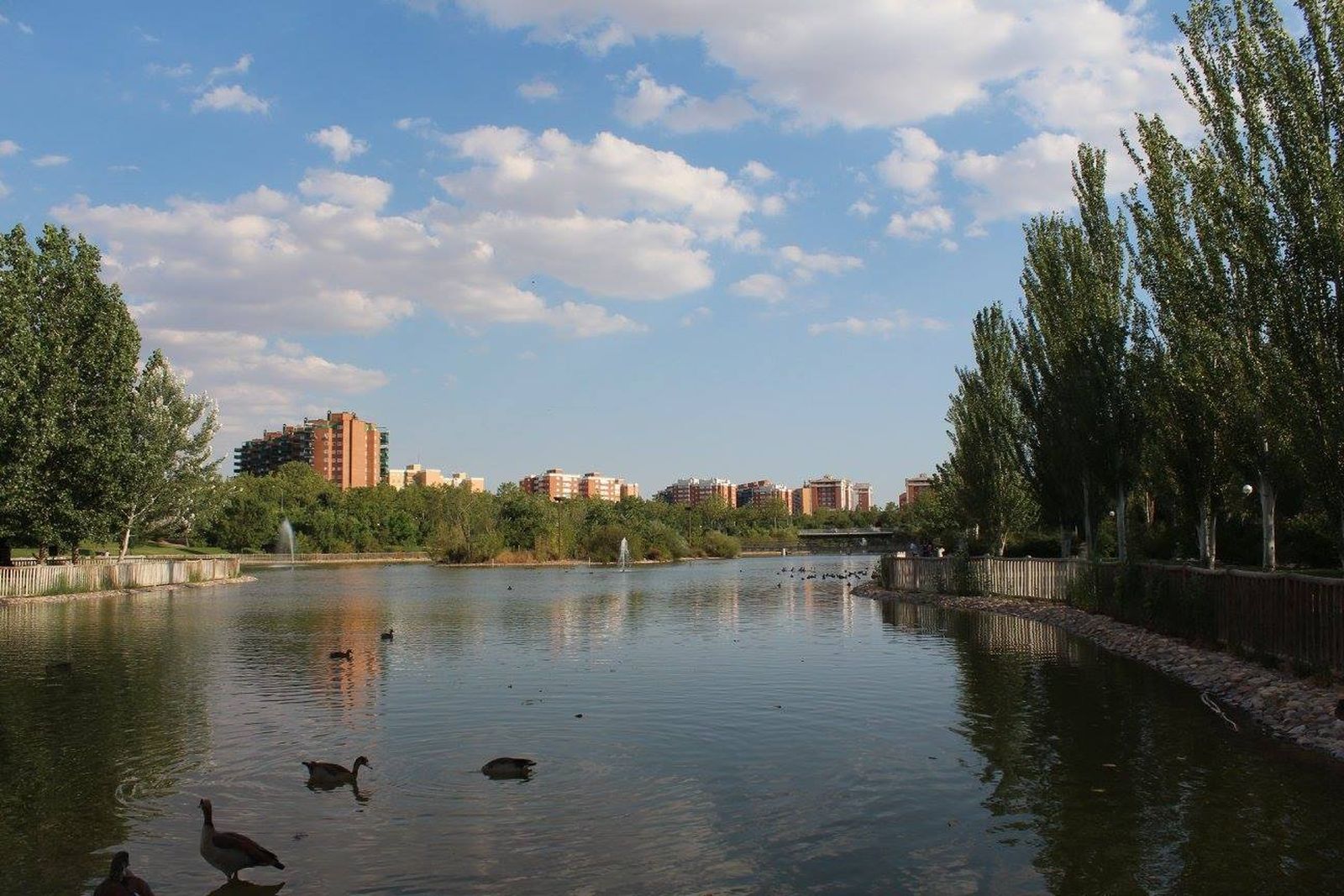 Lago de Loranca, en Fuenlabrada