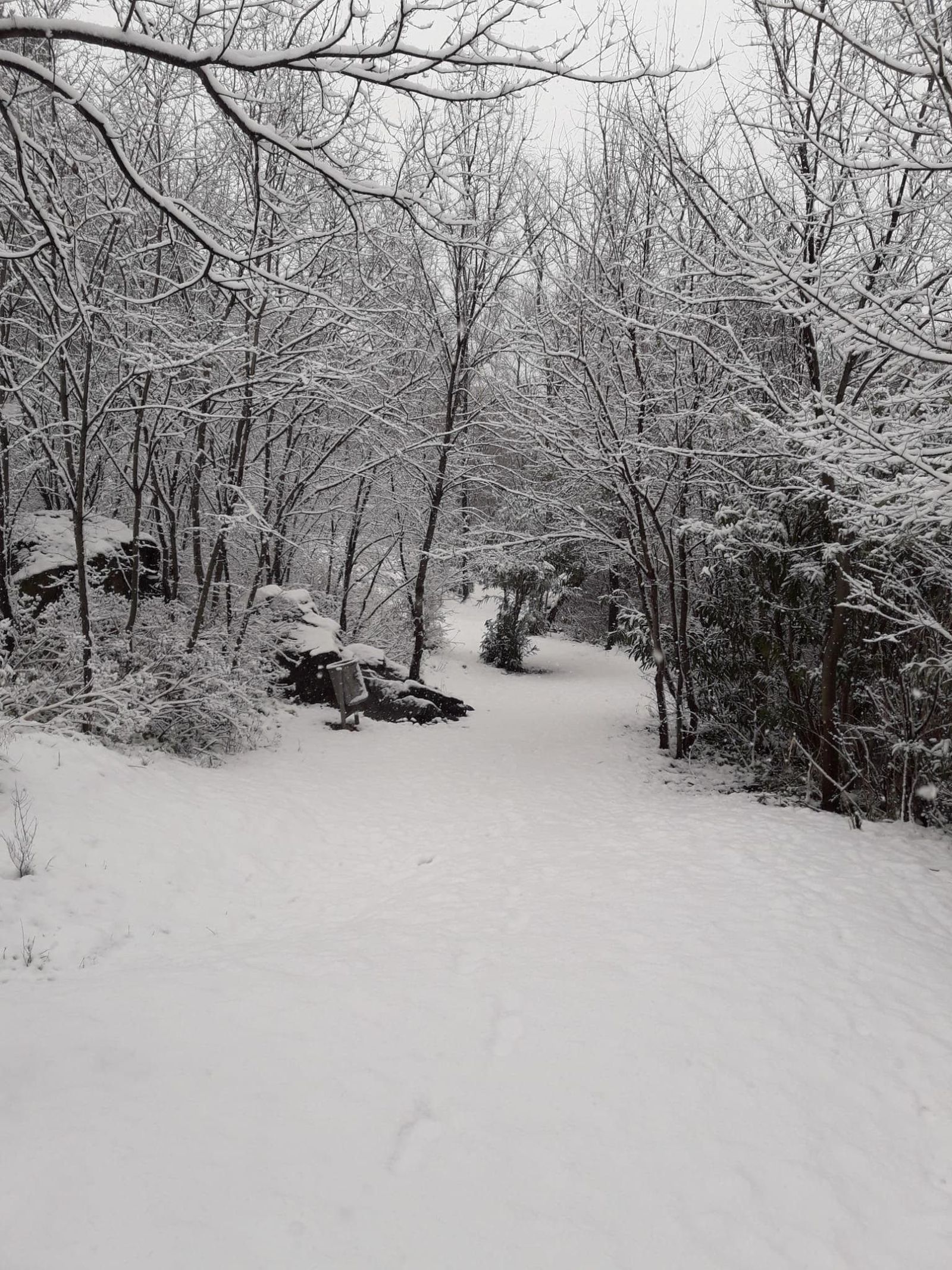 'Filomena' deja nieve, lluvia y frío en toda España