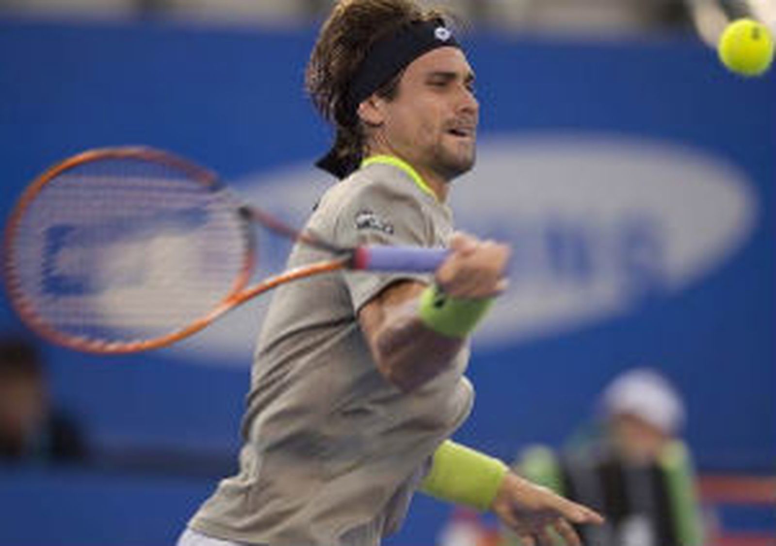 David Ferrer