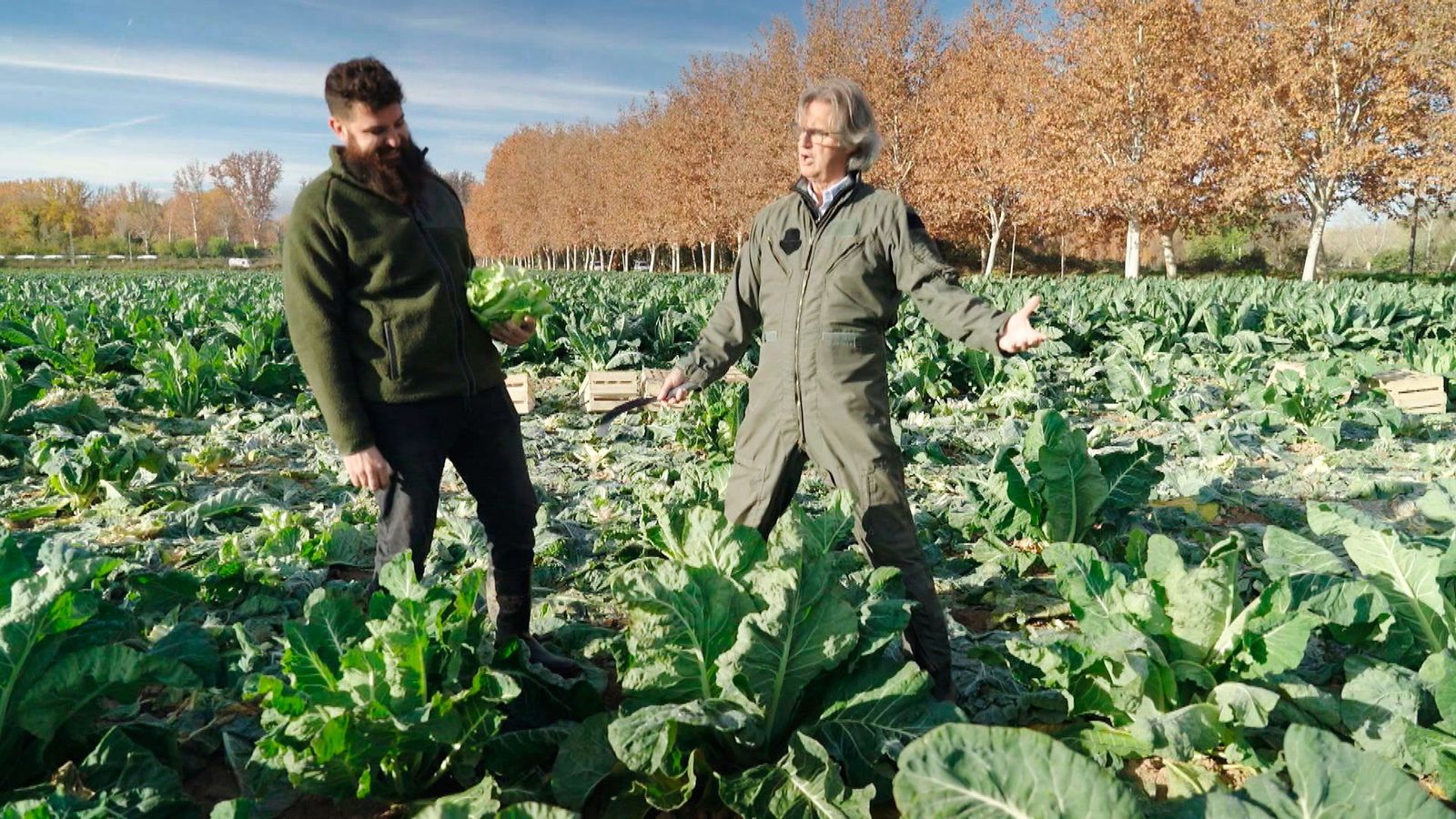 Telemadrid, galardonada en los premios 'Madrid Alimenta' por su apoyo al sector agroalimentario