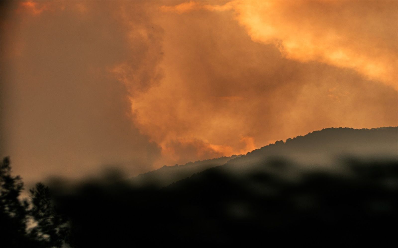 Los ingenieros de montes alertan de que una buena gestión forestal evitaría incendios como el de la Sierra Oeste