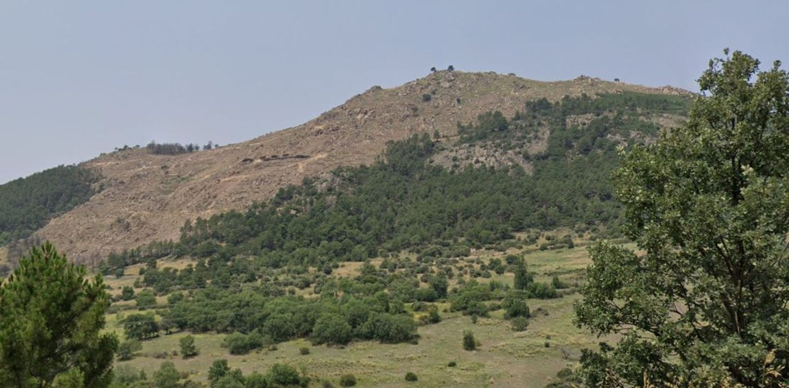 Claro creado por el incendio de 2022 en la Sierra del Castillo de Collado Mediano