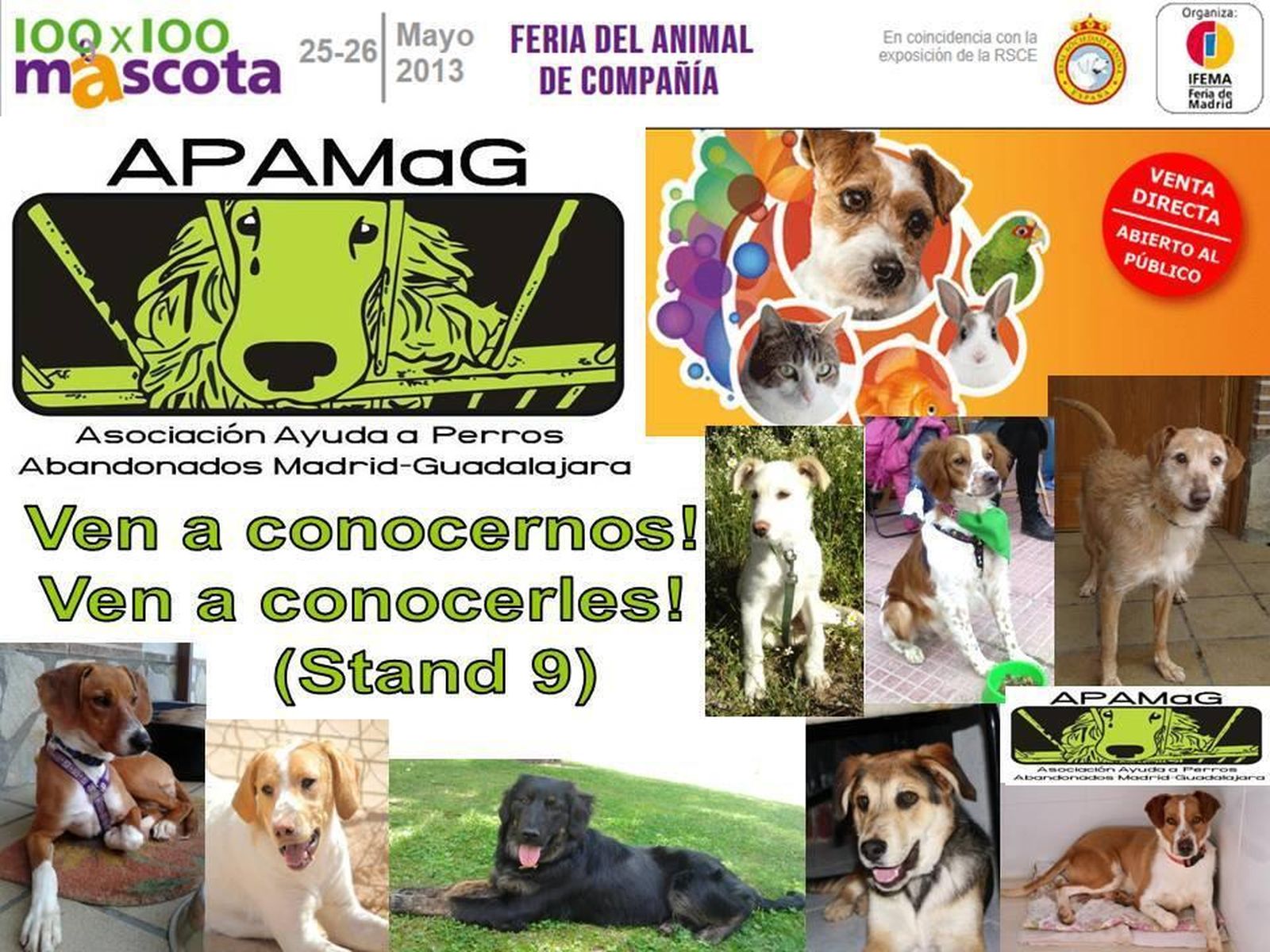 mascotas37265
